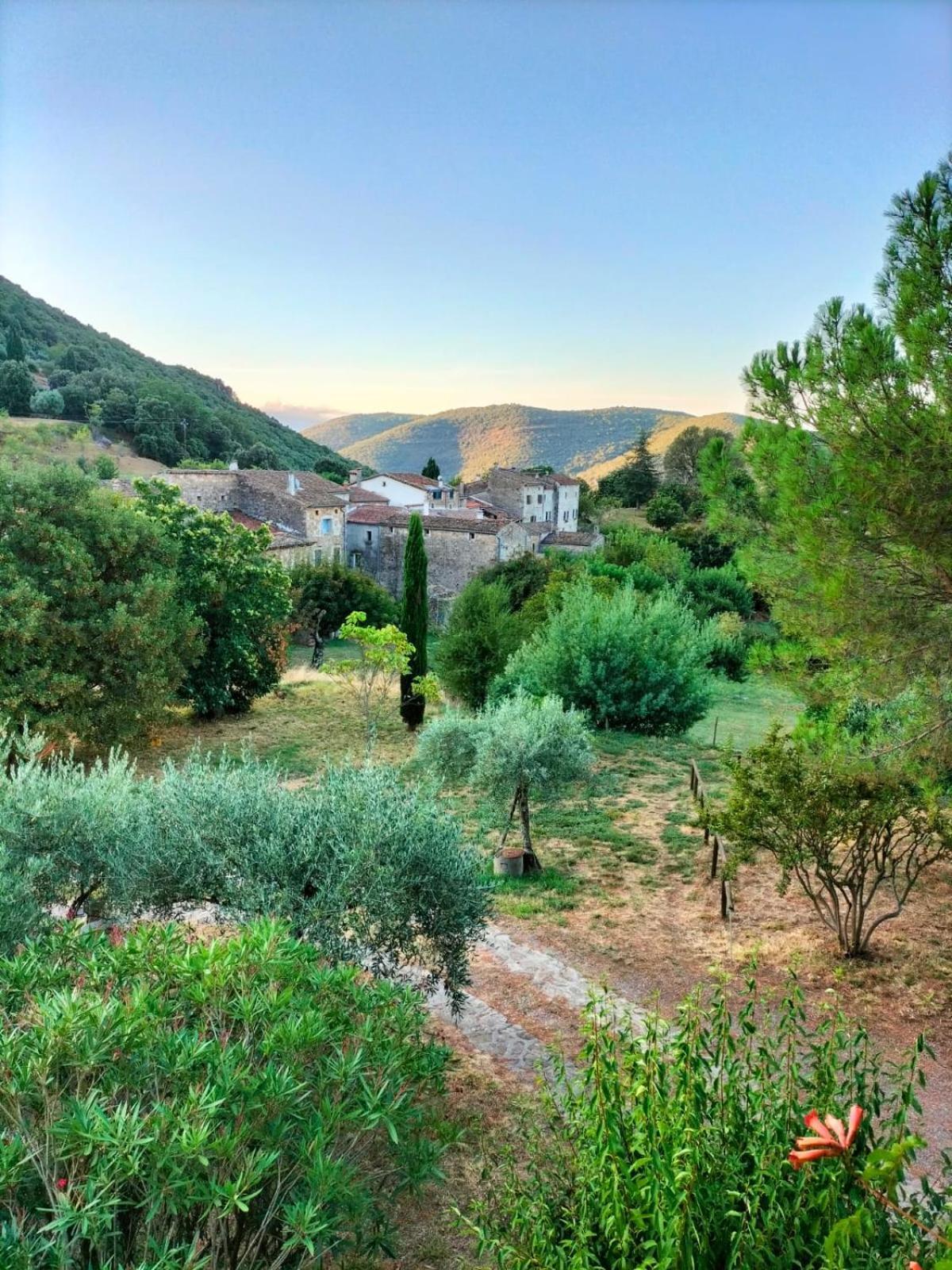 Chambre D'Hote Dans Mas Proche Anduze Cevennes Avec Piscine Mialet  Extérieur photo