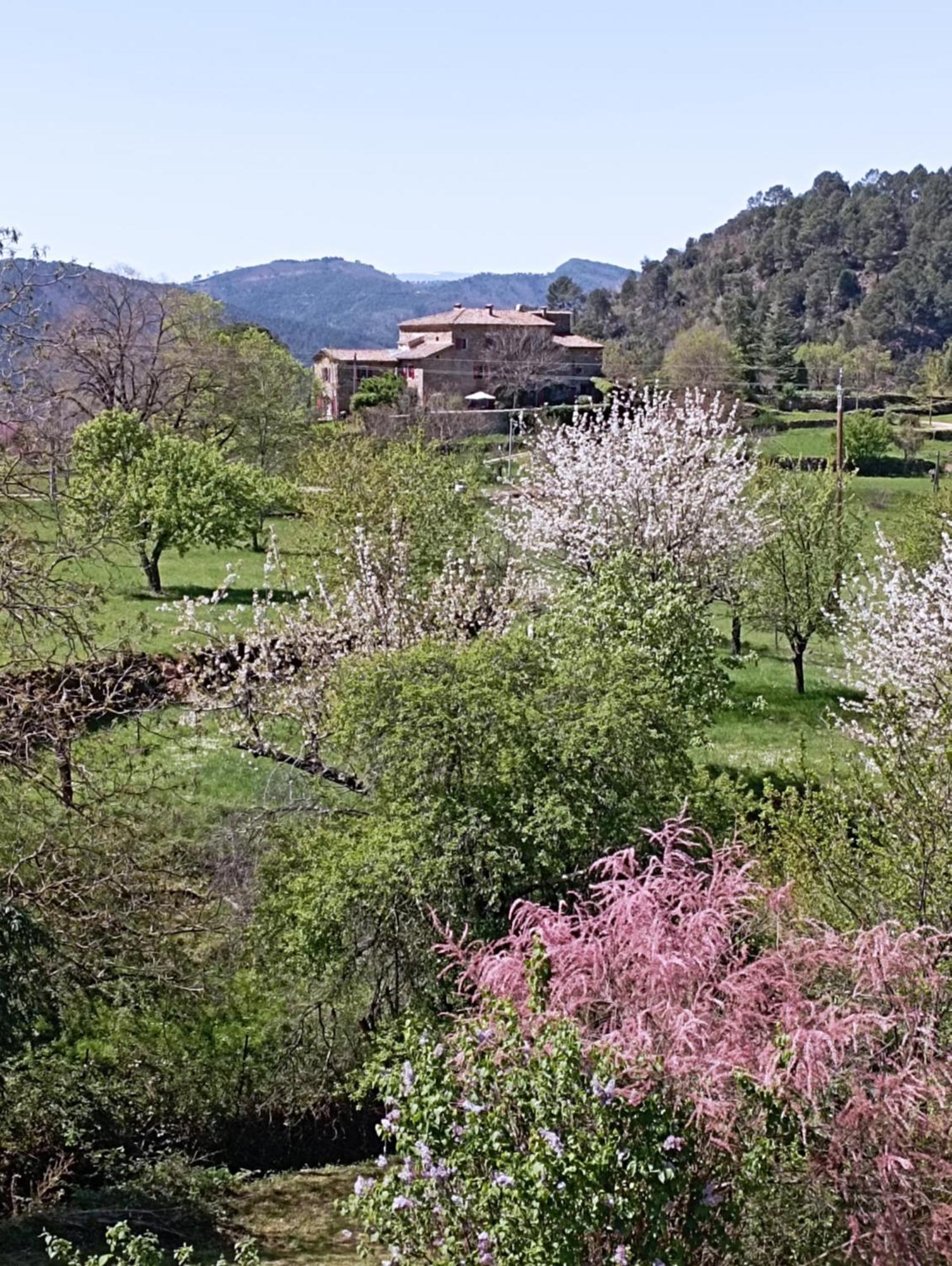 Chambre D'Hote Dans Mas Proche Anduze Cevennes Avec Piscine Mialet  Extérieur photo