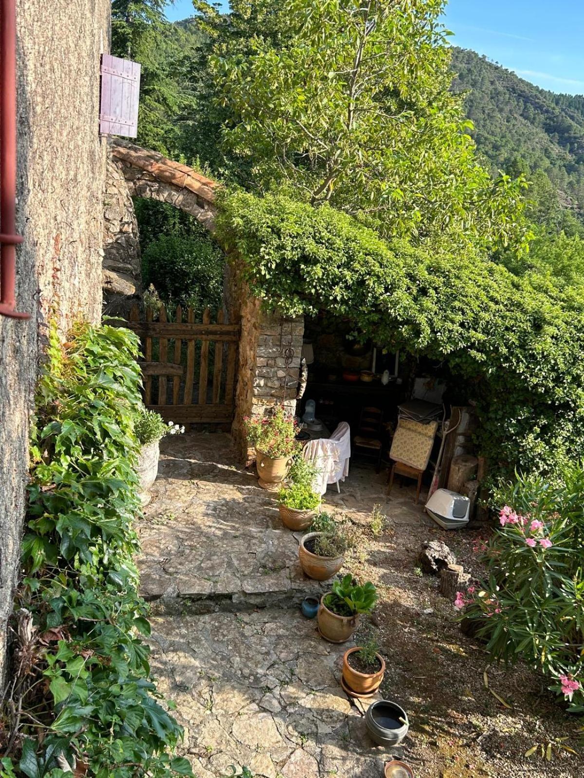 Chambre D'Hote Dans Mas Proche Anduze Cevennes Avec Piscine Mialet  Extérieur photo