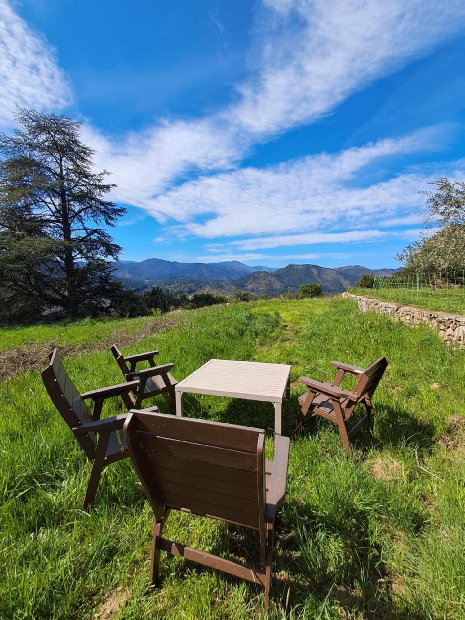 Chambre D'Hote Dans Mas Proche Anduze Cevennes Avec Piscine Mialet  Extérieur photo