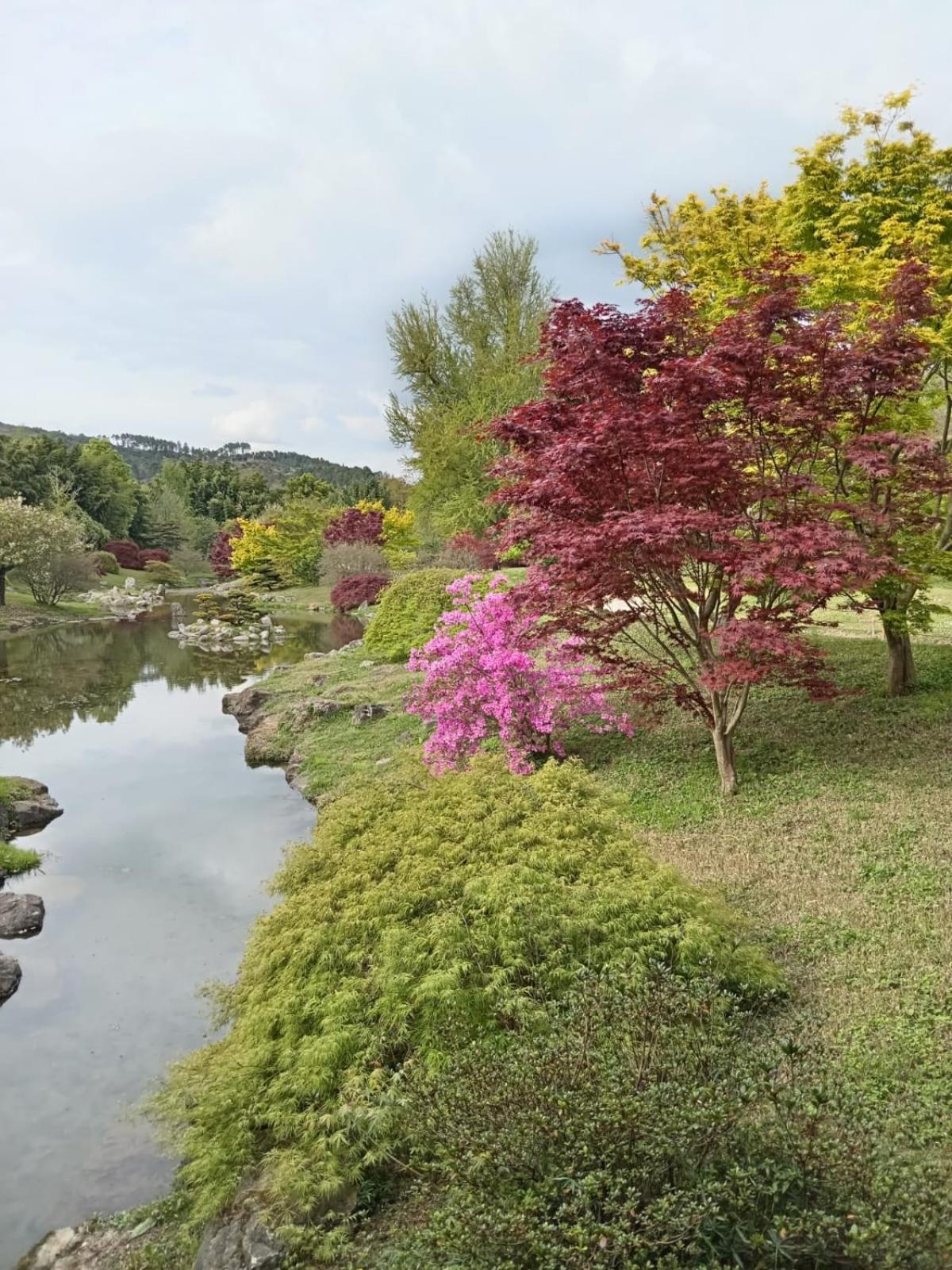 Chambre D'Hote Dans Mas Proche Anduze Cevennes Avec Piscine Mialet  Extérieur photo